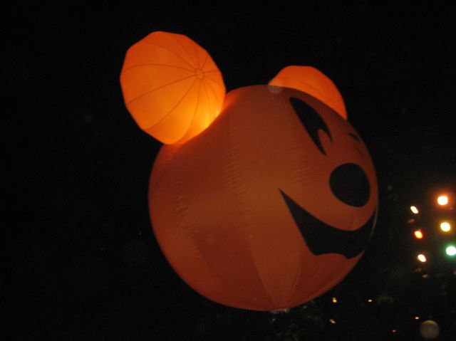 ˵