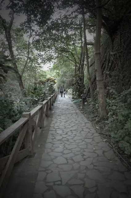 ˵