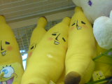 ˵