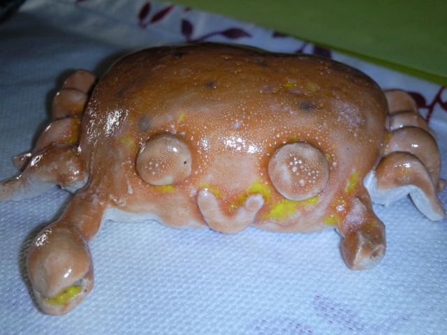 ˵