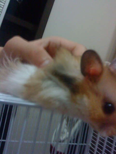 ˵