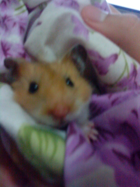 ˵