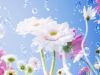 �ڤۭI����c����