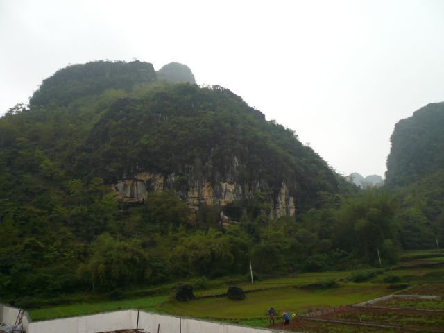 ˵