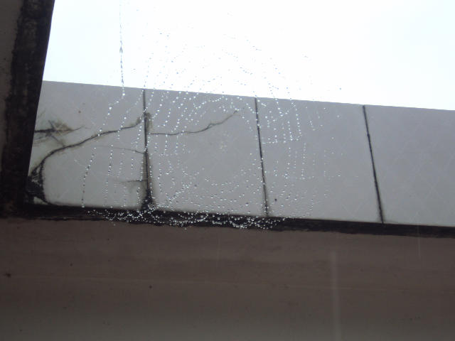˵