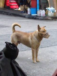 ˵