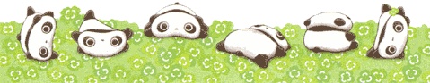 ˵