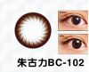 ���j�O�t�C