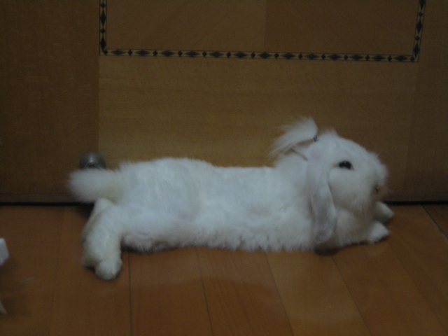 ˵