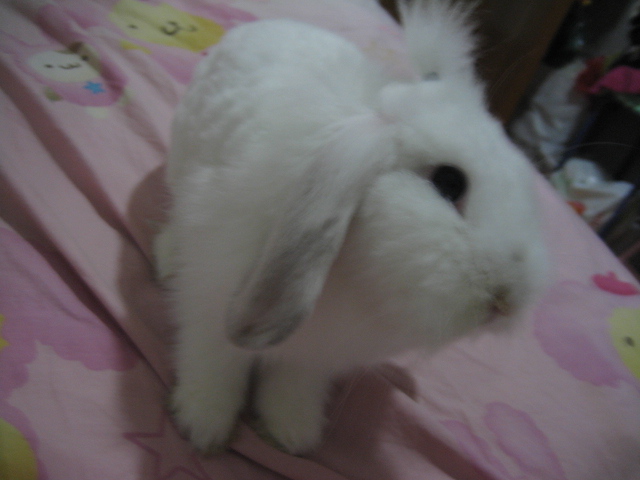 ˵