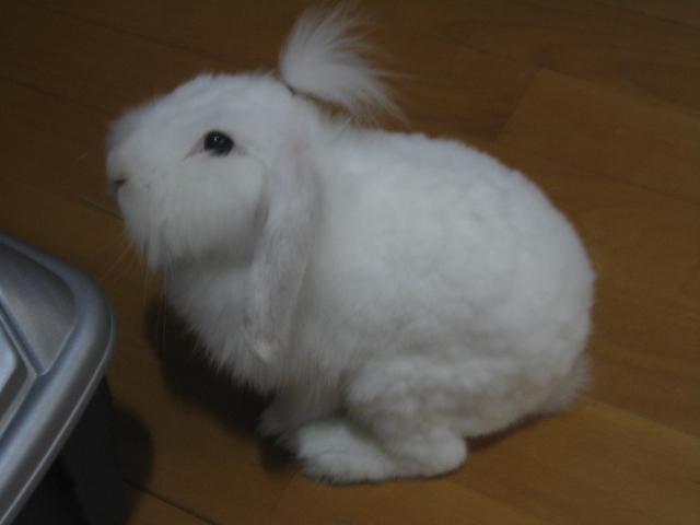 ˵