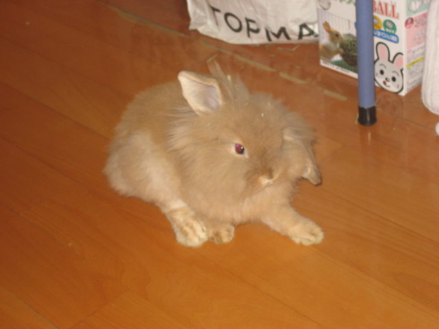 ˵