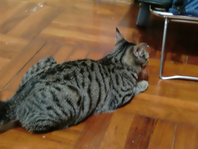 ˵