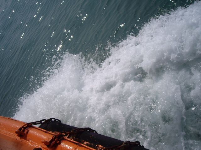 ˵