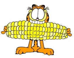 ˵