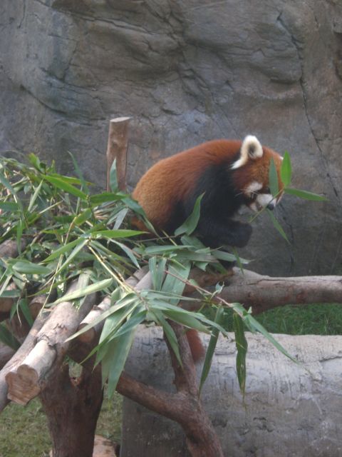 ˵