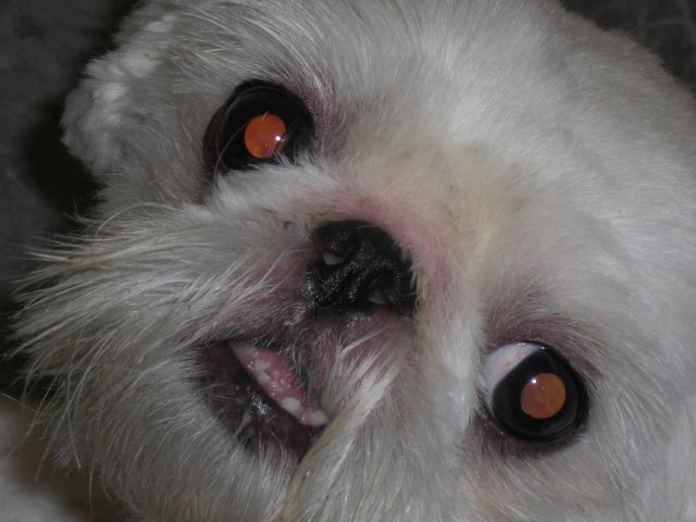 ˵