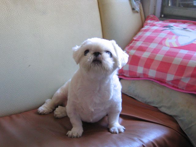 ˵