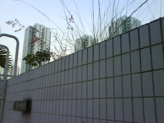 ˵