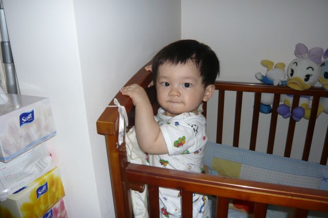 ˵