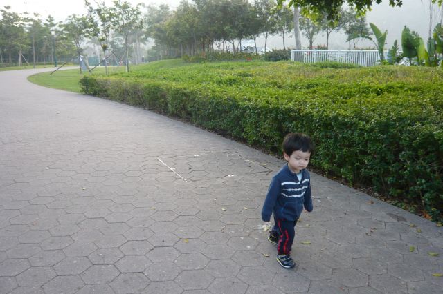 ˵