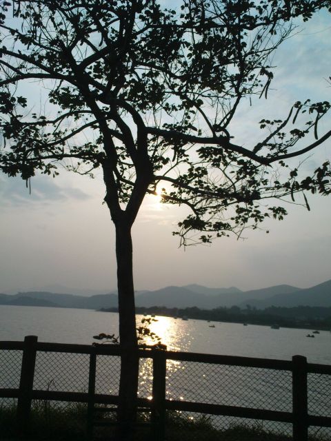 ˵