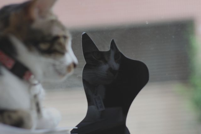 ˵