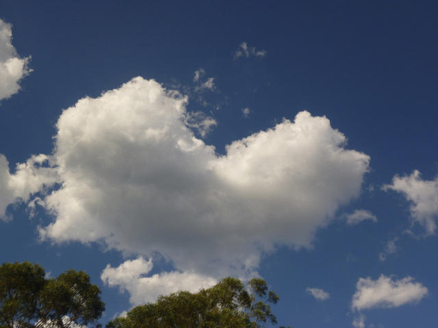 ˵