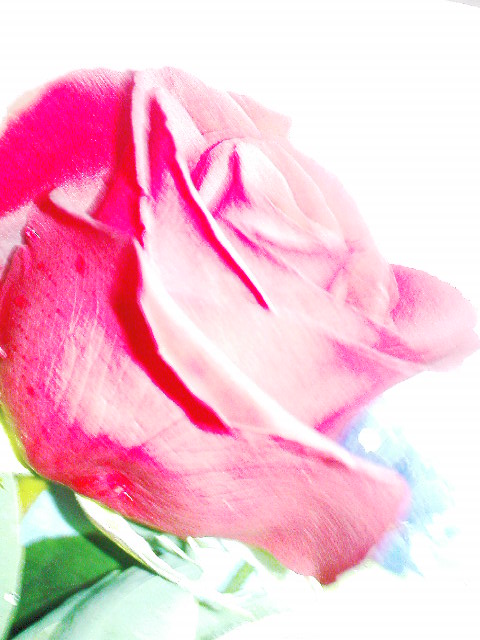 ˵