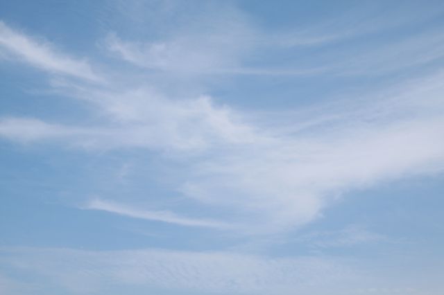 ˵