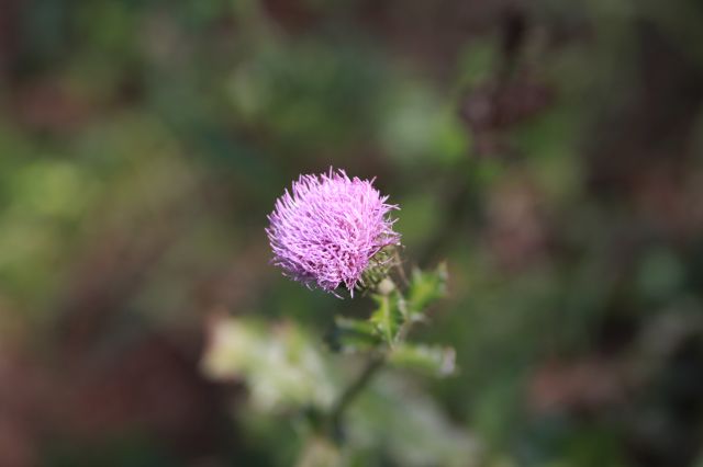 ˵