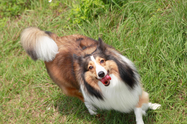 ˵