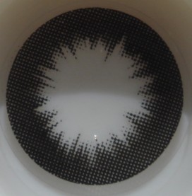 ˵