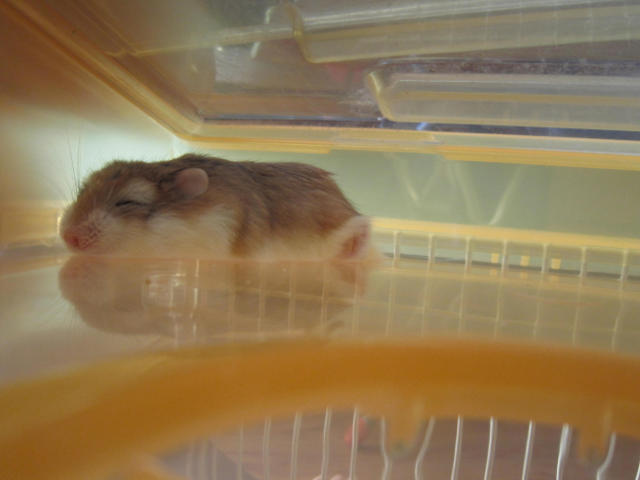 ˵
