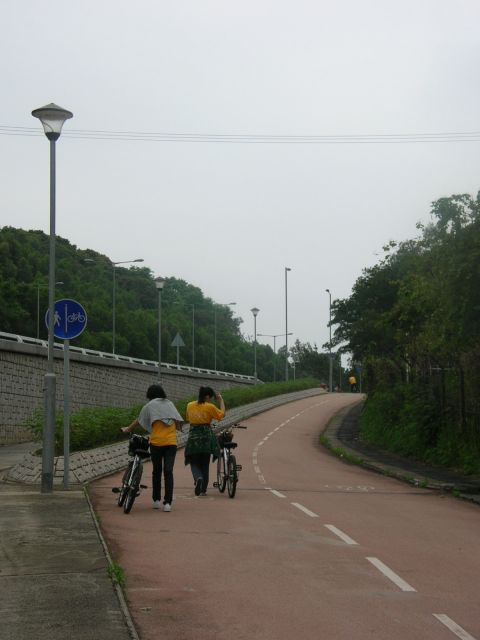 ˵