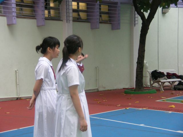 ˵