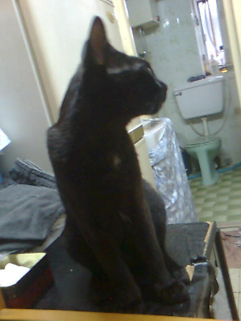 ˵