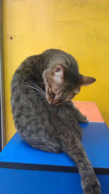 ˵