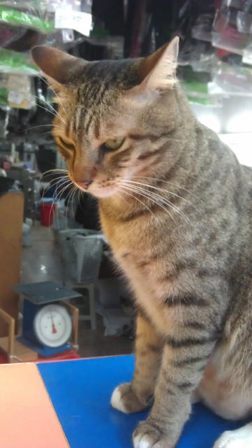 ˵