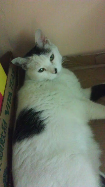 ˵