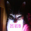 �C�ߡC